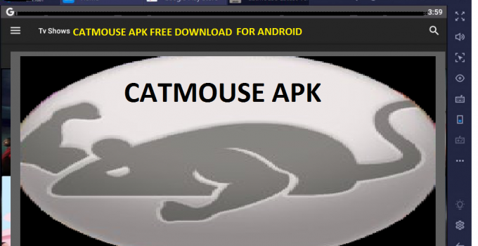 Catmouse APK